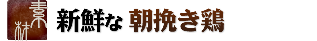 新鮮な朝挽鶏